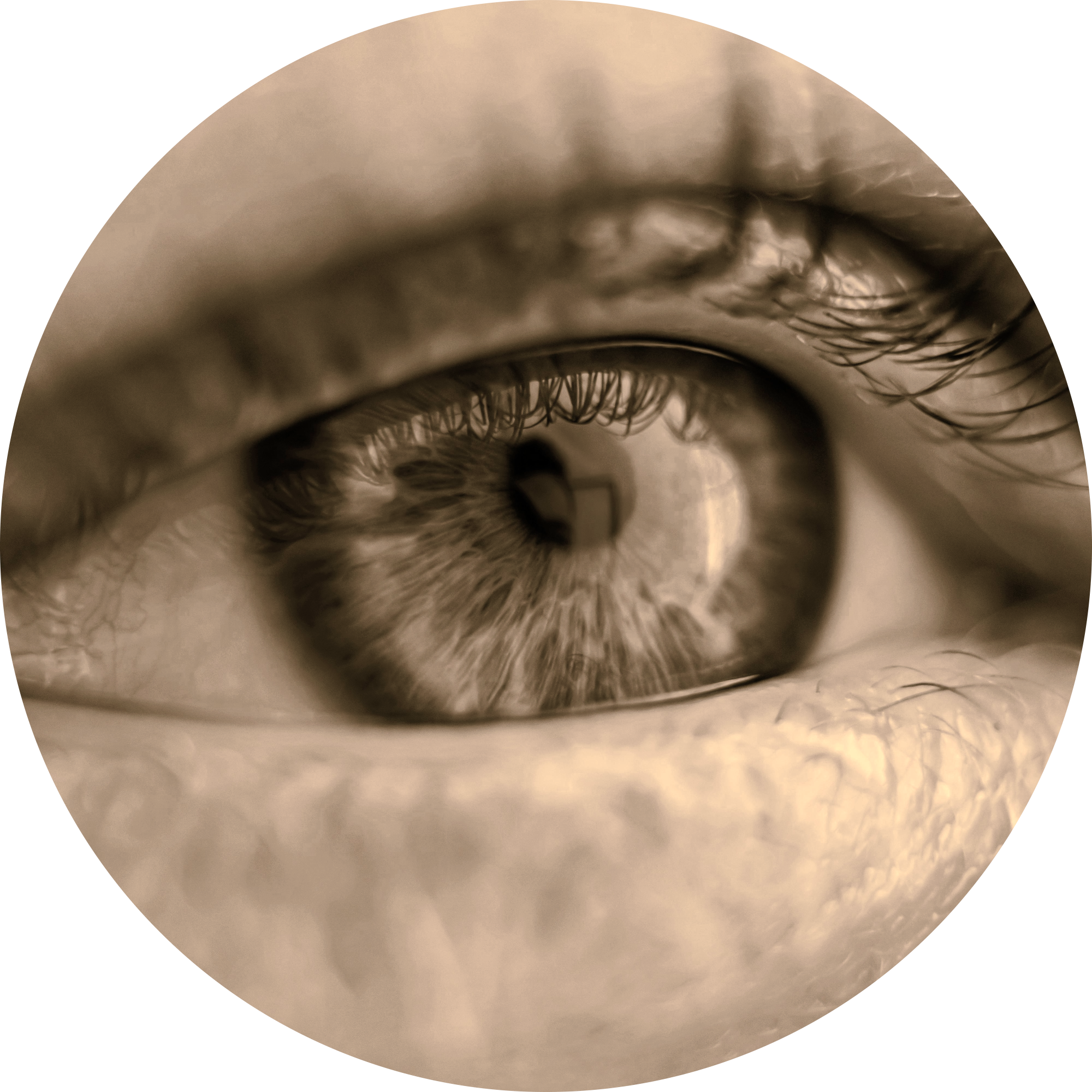 Van Wijngaarden Meesterschilder